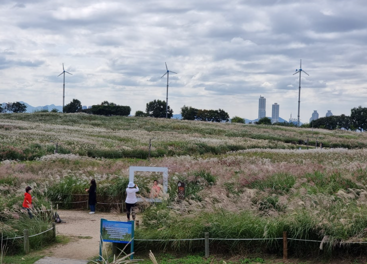 Nature Walks & Panoramic Views (힐링 자연 & 전망)